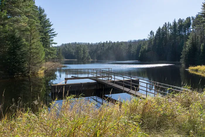 Lower Dam Lake Campground 8