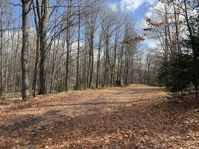 Marion Lake Campground and Picnic Area 9