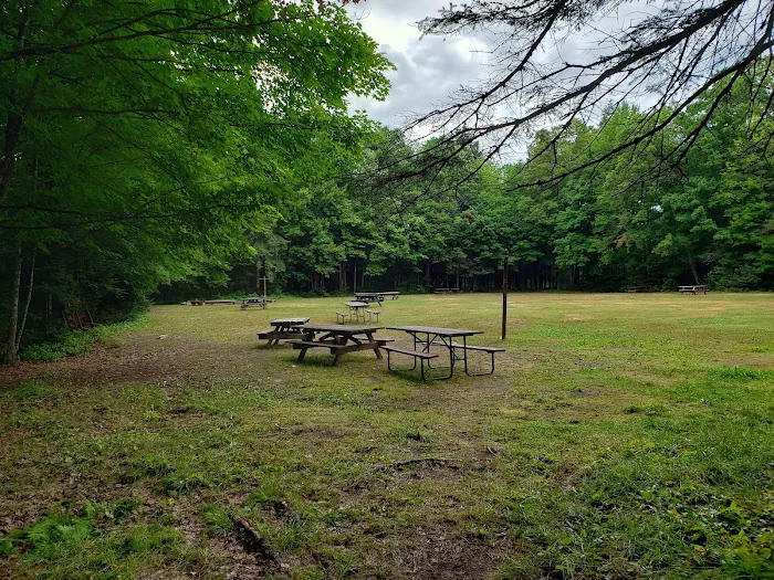 Marion Lake Group Site 3