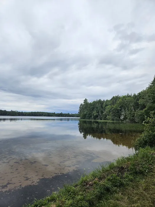Marion Lake Group Site 1