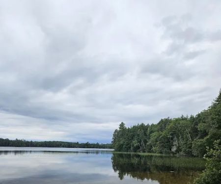 Marion Lake Group Site