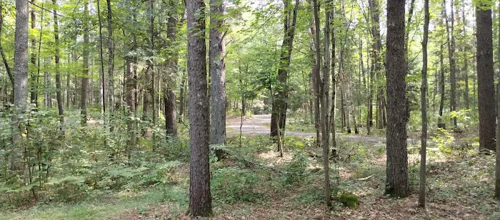 Lac Vieux Desert Campground 1