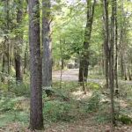 Lac Vieux Desert Campground