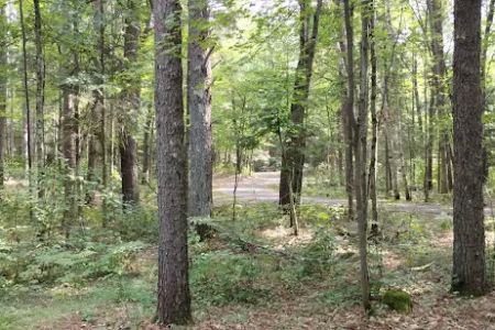 Lac Vieux Desert Campground