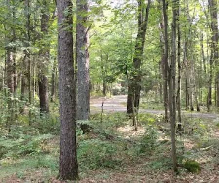 Lac Vieux Desert Campground