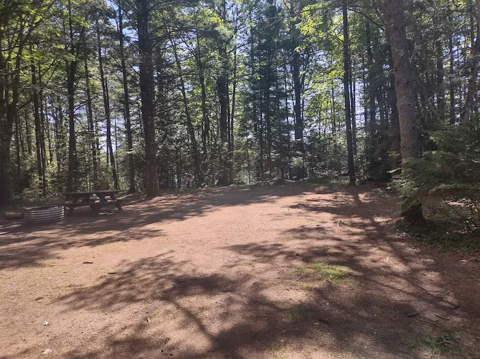 Anderson Lake West State Forest Campground 6