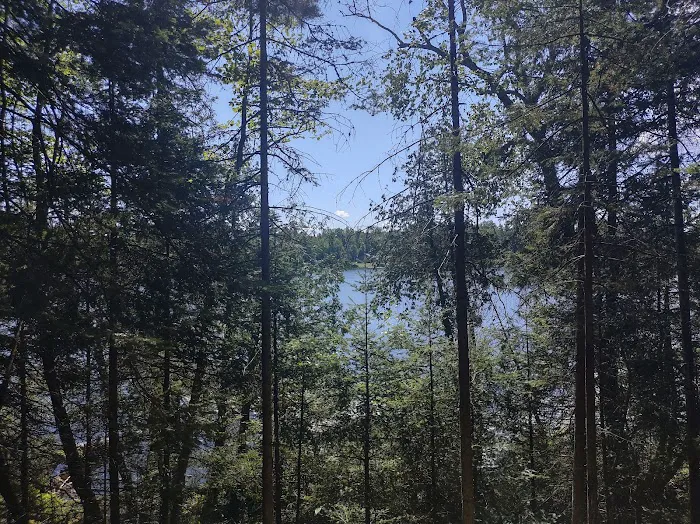 Anderson Lake West State Forest Campground 10