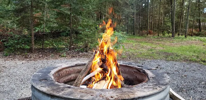 Little Lake State Forest Campground 7