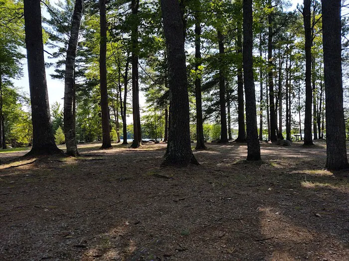 Little Lake State Forest Campground 10