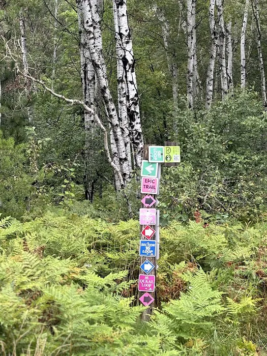 Brasswire Campground 9