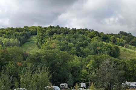 Rippling River Resort