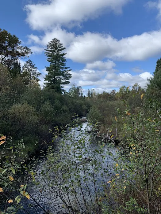 Tamarack Springs Campground 6