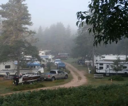 Rohr's Wilderness Tours