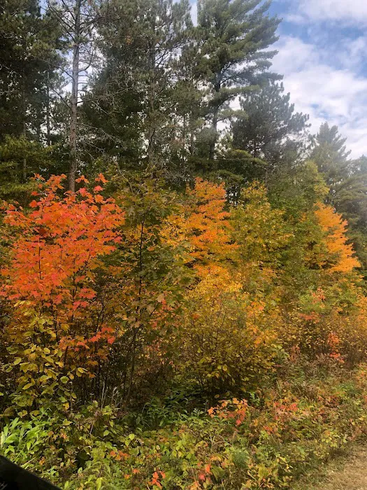 Nature RV Resort 10