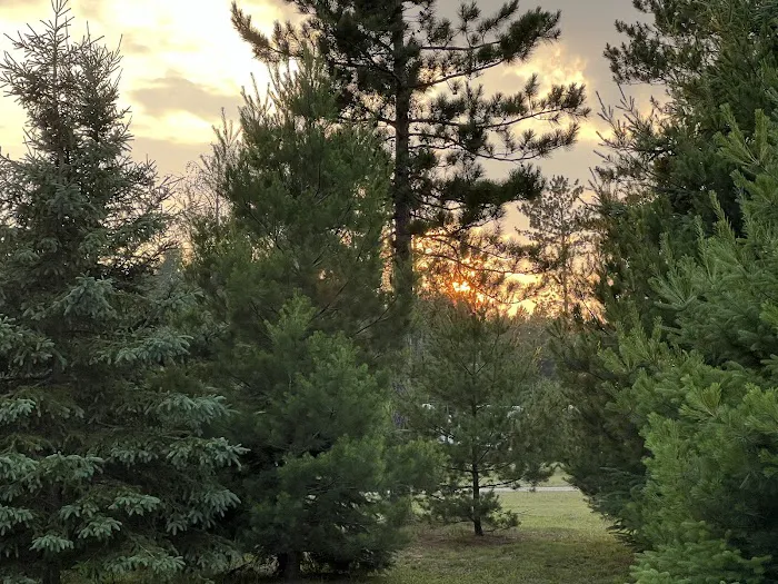 Plum Pines RV Park & Campground 9