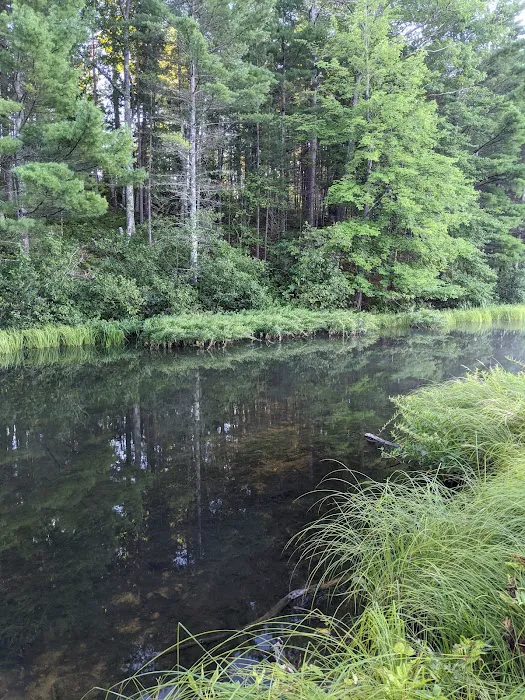 Plum Lake Campground, Northern Highland American Legion State Forest 9