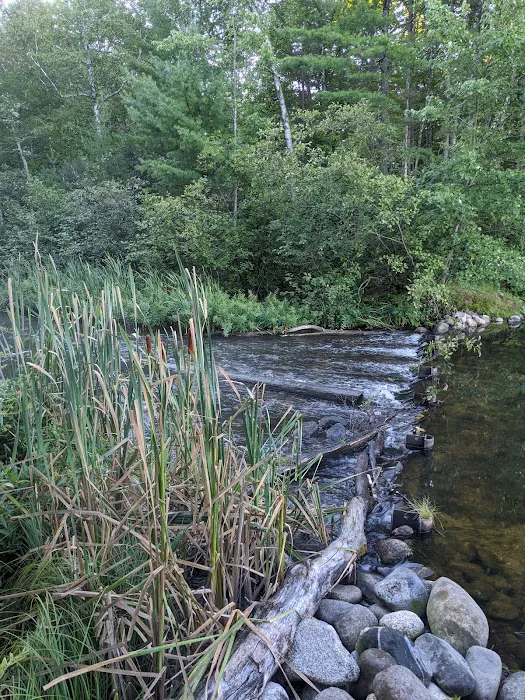 Plum Lake Campground, Northern Highland American Legion State Forest 7