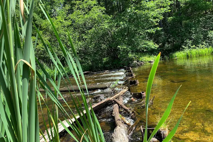 Plum Lake Campground, Northern Highland American Legion State Forest 5