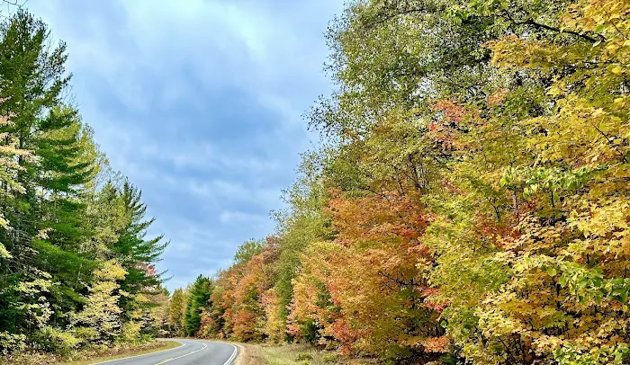 Razorback Lake Campground 9