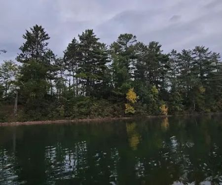Razorback Lake Campground