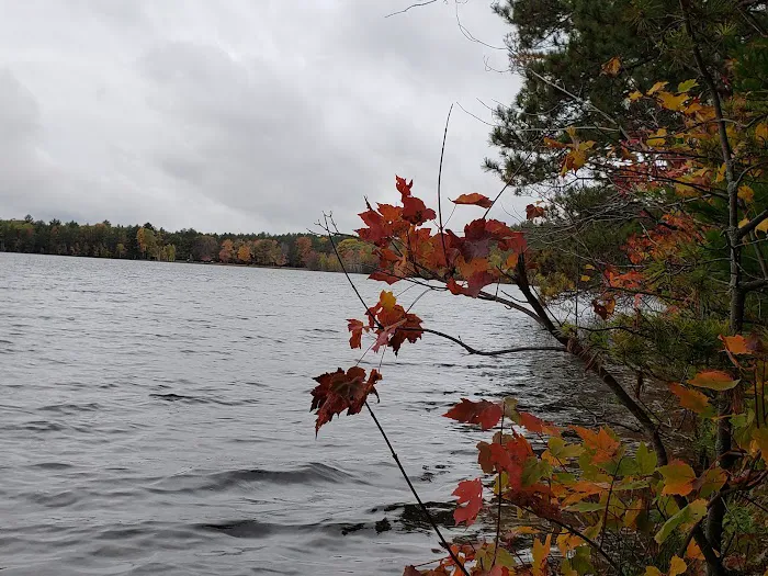Musky Lake Campground 3