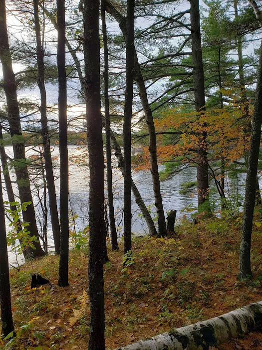 Musky Lake Campground 5
