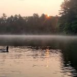 Starrett Lake Campground