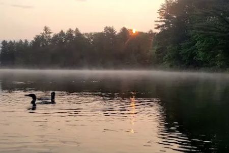Starrett Lake Campground