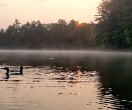 Starrett Lake Campground