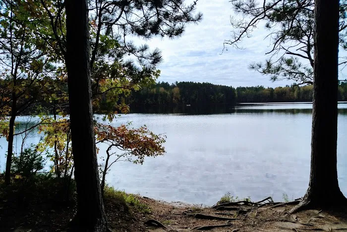 Firefly Lake Campground 6