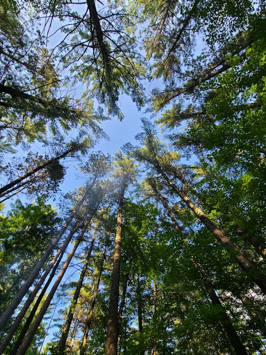 Firefly Lake Campground 10