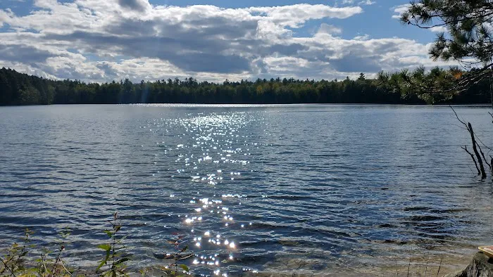 Firefly Lake Campground 5
