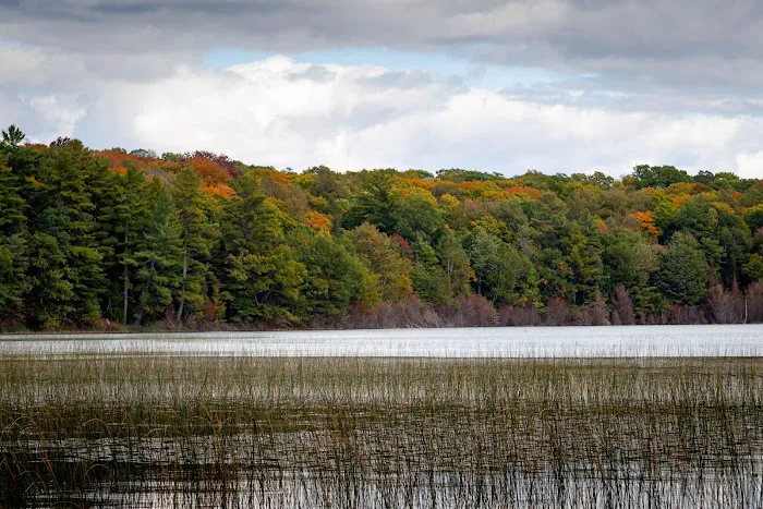 West Star Lake Campground 2