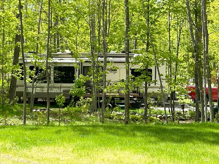 Punch Lake Campground 7