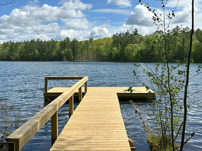 Punch Lake Campground 9