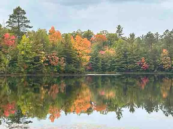Punch Lake Campground 3