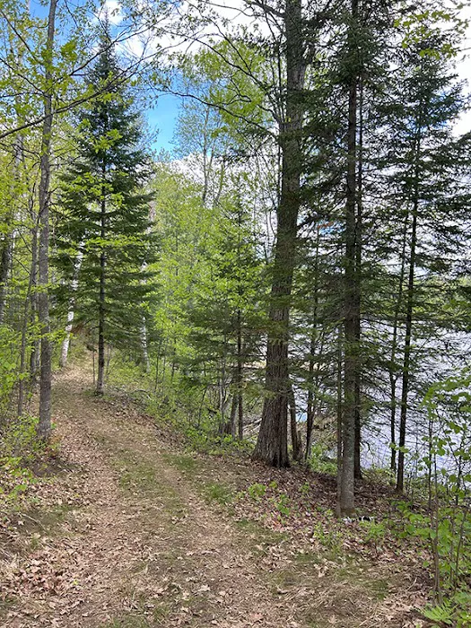 Punch Lake Campground 8