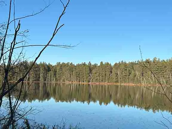 Punch Lake Campground 6