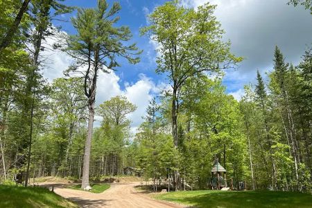 Punch Lake Campground
