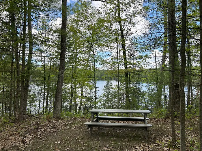 Punch Lake Campground 5