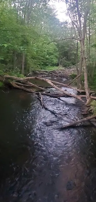 South Trout Lake Campground 2