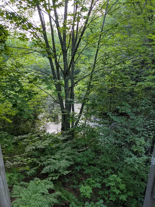 South Trout Lake Campground 4
