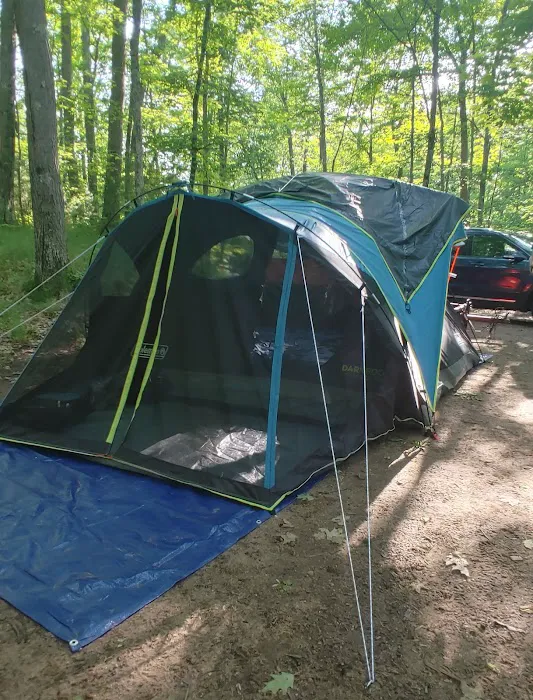 South Trout Lake Campground 7
