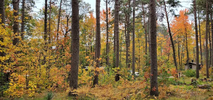 North Trout Lake campground 2