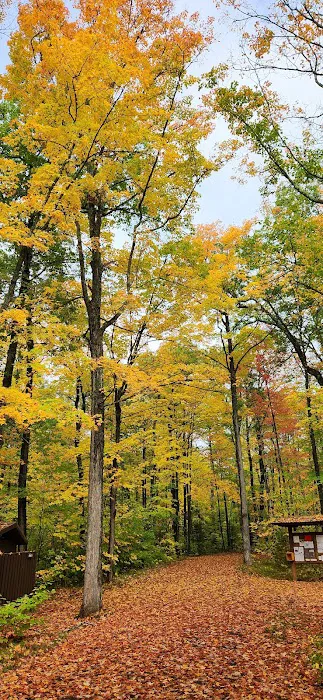 North Trout Lake campground 7