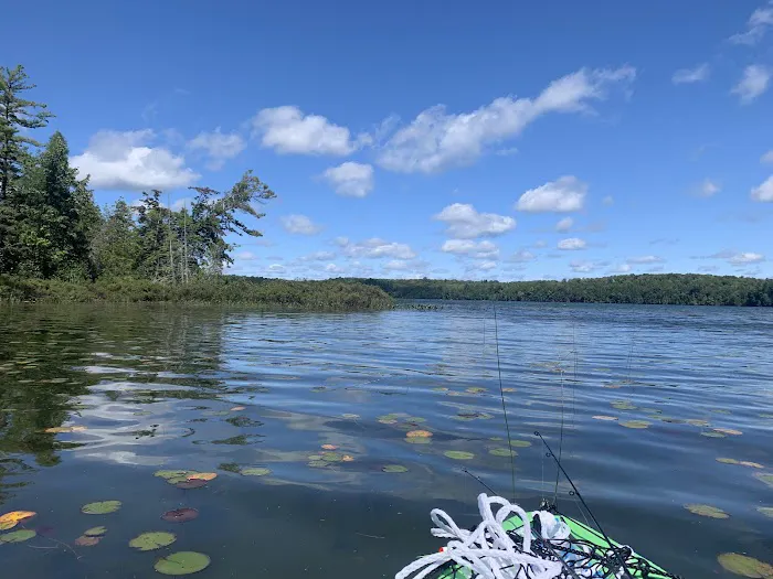 Bass Lake dispersed campsite 3