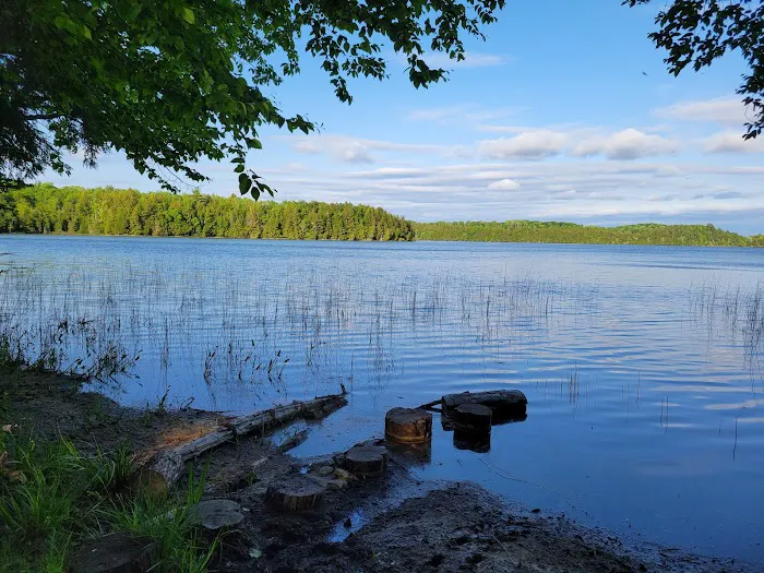 Bass Lake dispersed campsite 4