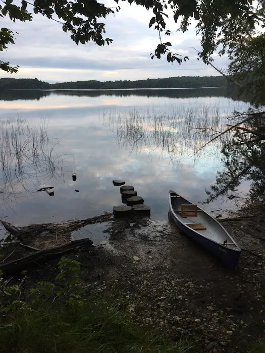 Bass Lake dispersed campsite 2