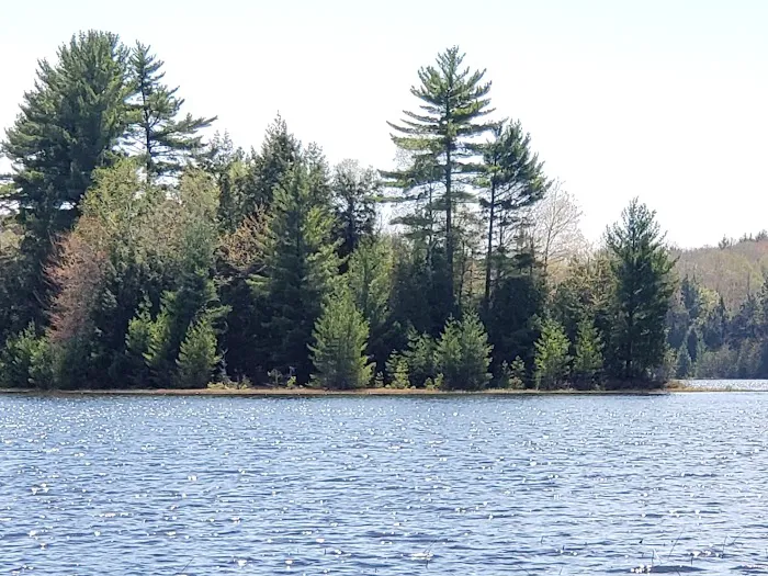 Little Bass Lake Campsites 10