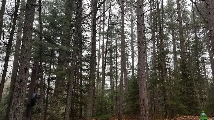 Indian River Campground 7